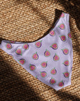 Vulva Figs V-shape Bikini Bottom - Empowr 2XS